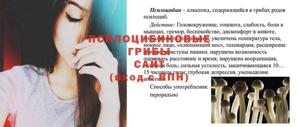 винт Каменка