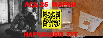 дмт Гусев
