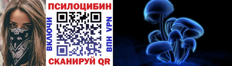 купить наркоту  Корсаков  hydra сайт  Галлюциногенные грибы Magic Shrooms 