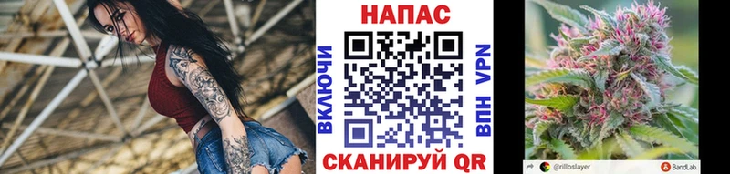 Шишки марихуана планчик  Корсаков 